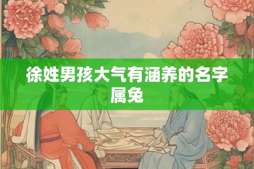 徐姓男孩大气有涵养的名字属兔