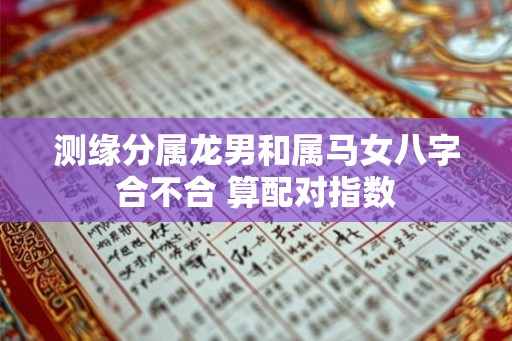 测缘分属龙男和属马女八字合不合 算配对指数
