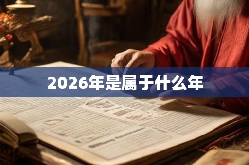 2026年是属于什么年
