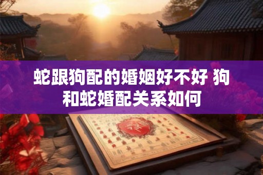 蛇跟狗配的婚姻好不好 狗和蛇婚配关系如何