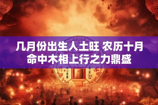 几月份出生人土旺 农历十月命中木相上行之力鼎盛