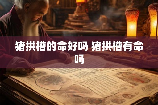 猪拱槽的命好吗 猪拱槽有命吗
