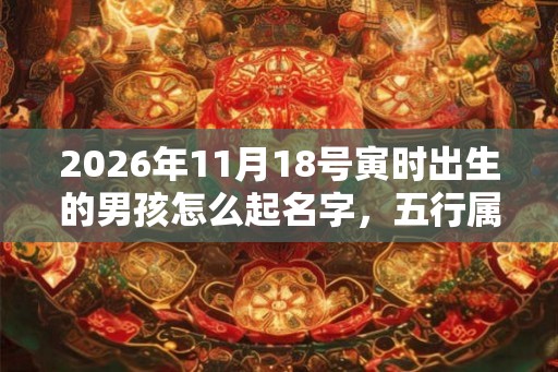 2026年11月18号寅时出生的男孩怎么起名字，五行属什么