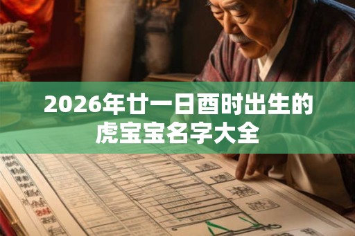 2026年廿一日酉时出生的虎宝宝名字大全