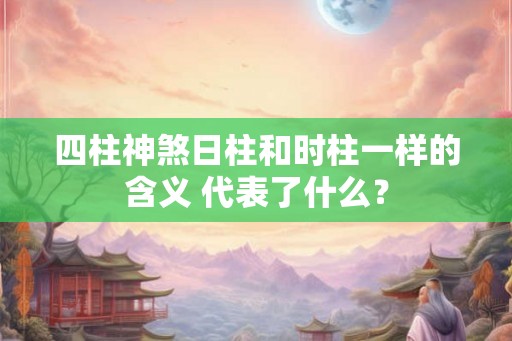 四柱神煞日柱和时柱一样的含义 代表了什么? 四柱神煞日柱和时柱一样的含义 代表了什么?