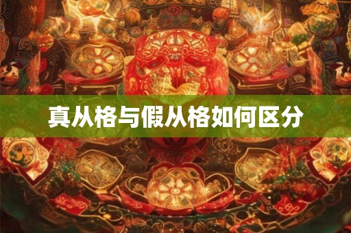 真从格与假从格如何区分