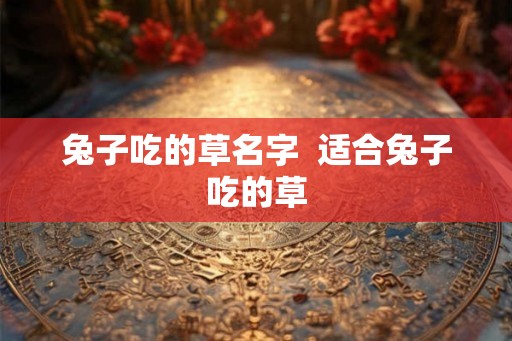 兔子吃的草名字  适合兔子吃的草