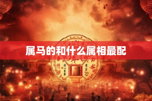 属马的和什么属相最配