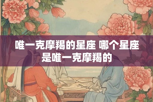 唯一克摩羯的星座 哪个星座是唯一克摩羯的