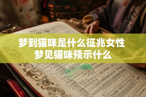 梦到猫咪是什么征兆女性 梦见猫咪预示什么