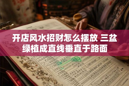 开店风水招财怎么摆放 三盆绿植成直线垂直于路面