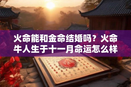 火命能和金命结婚吗？火命牛人生于十一月命运怎么样？