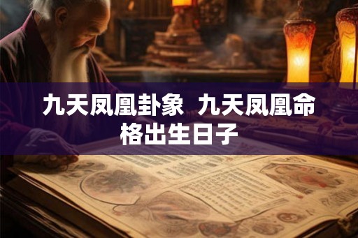 九天凤凰卦象  九天凤凰命格出生日子