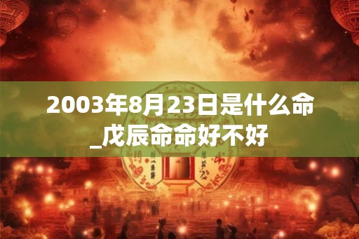 2003年8月23日是什么命_戊辰命命好不好