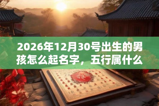 2026年12月30号出生的男孩怎么起名字，五行属什么
