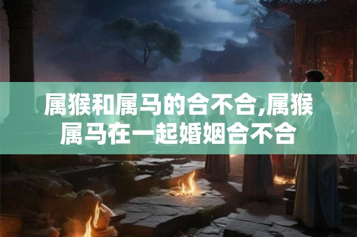 属猴和属马的合不合,属猴属马在一起婚姻合不合
