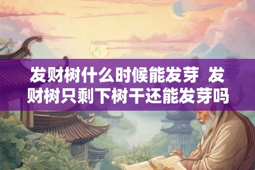 发财树什么时候能发芽  发财树只剩下树干还能发芽吗