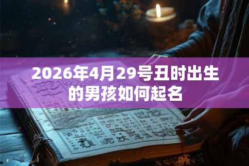 2026年4月29号丑时出生的男孩如何起名