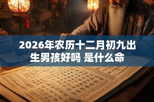 2026年农历十二月初九出生男孩好吗 是什么命