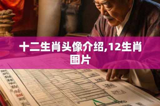 十二生肖头像介绍,12生肖图片