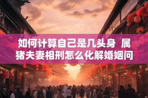 如何计算自己是几头身 属猪夫妻相刑怎么化解婚姻问题 如何计算自己是几头身 属猪夫妻相刑怎么化解婚姻问题