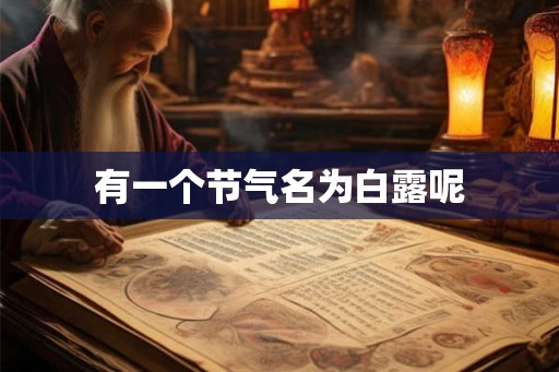 有一个节气名为白露呢