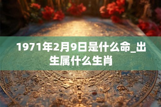 1971年2月9日是什么命_出生属什么生肖 1971年2月9日是什么命_出生属什么生肖