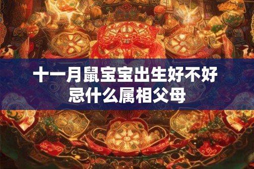 十一月鼠宝宝出生好不好 忌什么属相父母 十一月鼠宝宝出生好不好 忌什么属相父母