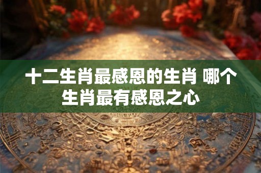十二生肖最感恩的生肖 哪个生肖最有感恩之心 十二生肖最感恩的生肖 哪个生肖最有感恩之心