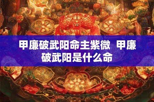 甲廉破武阳命主紫微  甲廉破武阳是什么命
