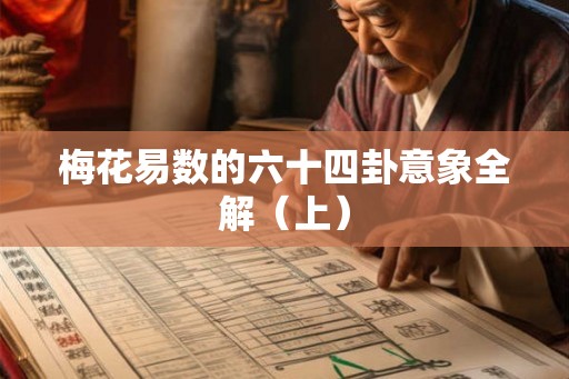 梅花易数的六十四卦意象全解（上）