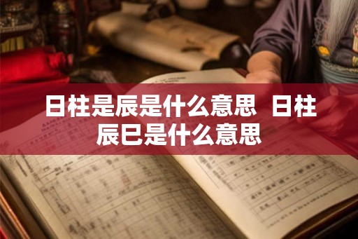 日柱是辰是什么意思 日柱辰巳是什么意思 日柱是辰是什么意思 日柱辰巳是什么意思