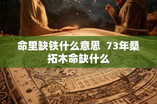 命里缺铁什么意思  73年桑拓木命缺什么