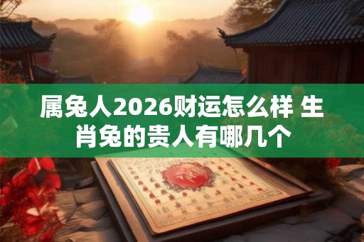 属兔人2026财运怎么样 生肖兔的贵人有哪几个