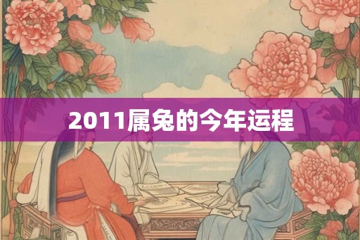 2011属兔的今年运程