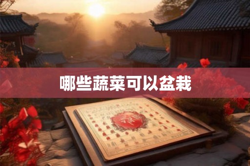 哪些蔬菜可以盆栽