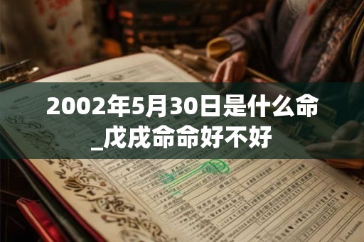 2002年5月30日是什么命_戊戌命命好不好