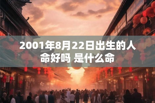 2001年8月22日出生的人命好吗 是什么命