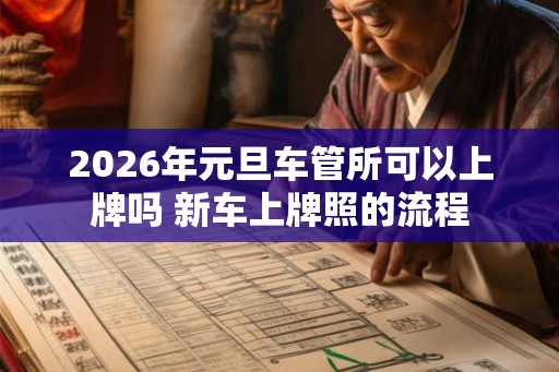 2026年元旦车管所可以上牌吗 新车上牌照的流程