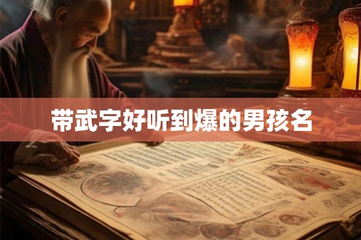 带武字好听到爆的男孩名