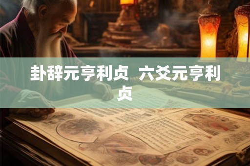 卦辞元亨利贞  六爻元亨利贞