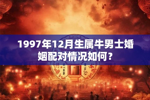 1997年12月生属牛男士婚姻配对情况如何? 1997年12月生属牛男士婚姻配对情况如何?
