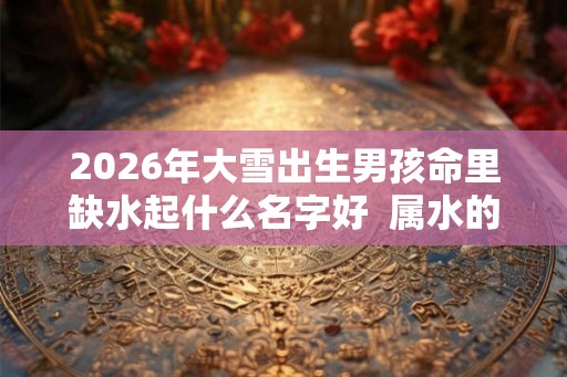 2026年大雪出生男孩命里缺水起什么名字好  属水的名字分享