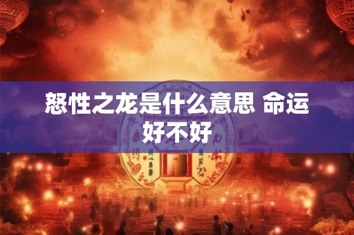 怒性之龙是什么意思 命运好不好