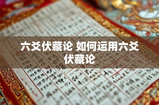 六爻伏藏论 如何运用六爻伏藏论 六爻伏藏论 如何运用六爻伏藏论