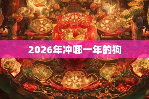 2026年冲哪一年的狗