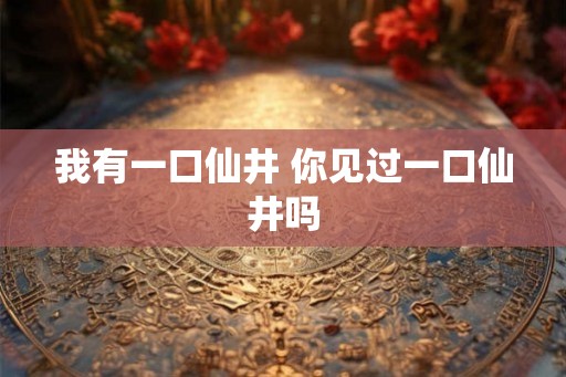 我有一口仙井 你见过一口仙井吗