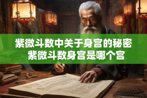 紫微斗数中关于身宫的秘密  紫微斗数身宫是哪个宫