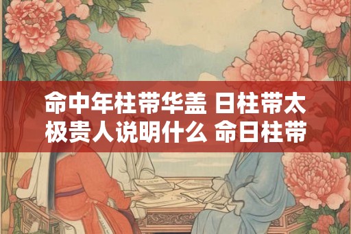 命中年柱带华盖 日柱带太极贵人说明什么 命日柱带华盖和太极贵人的含义