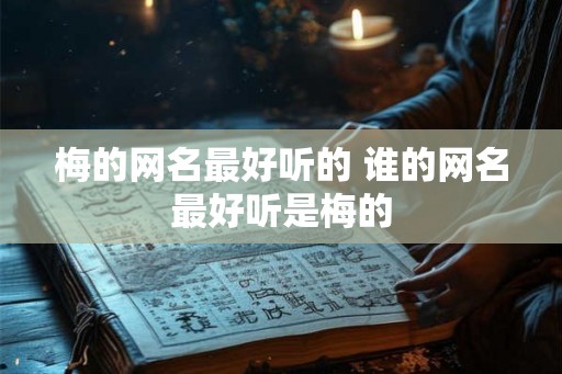 梅的网名最好听的 谁的网名最好听是梅的